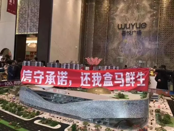 新中產(chǎn)的理想生活，藏在盒馬的訂單里